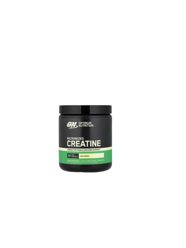 ON creatine micronized (300g)